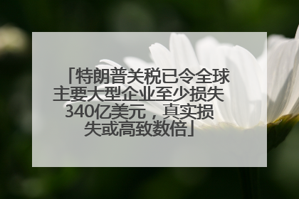 特朗普关税已令全球主要大型企业至少损失340亿美元，真实损失或高致数倍