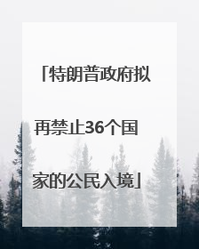 特朗普政府拟再禁止36个国家的公民入境