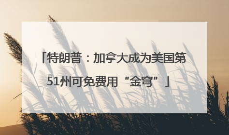 特朗普：加拿大成为美国第51州可免费用“金穹”