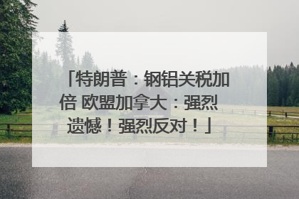 特朗普：钢铝关税加倍 欧盟加拿大：强烈遗憾！强烈反对！