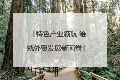 特色产业领航 绘就外贸发展新画卷