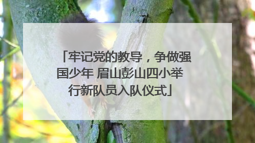 牢记党的教导，争做强国少年 眉山彭山四小举行新队员入队仪式
