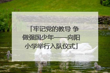 牢记党的教导 争做强国少年——向阳小学举行入队仪式