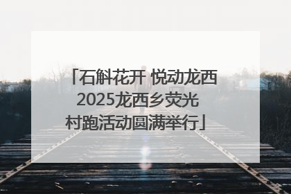 石斛花开 悦动龙西 2025龙西乡荧光村跑活动圆满举行