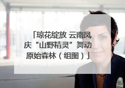 琼花绽放 云南凤庆“山野精灵”舞动原始森林（组图）