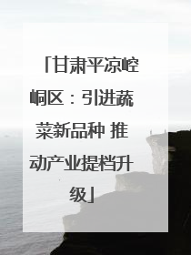 甘肃平凉崆峒区：引进蔬菜新品种 推动产业提档升级