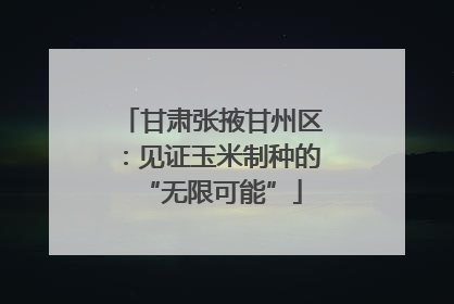 甘肃张掖甘州区：见证玉米制种的“无限可能”