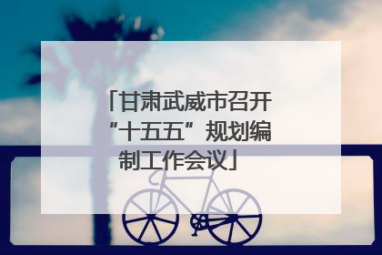 甘肃武威市召开“十五五”规划编制工作会议