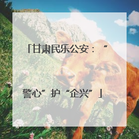 甘肃民乐公安：“警心”护“企兴”
