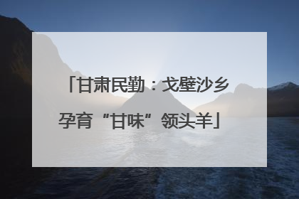 甘肃民勤：戈壁沙乡孕育“甘味”领头羊