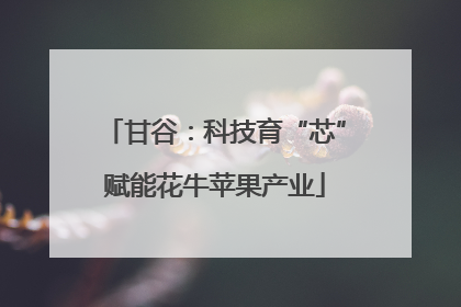 甘谷：科技育“芯”赋能花牛苹果产业