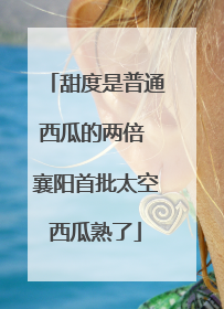 甜度是普通西瓜的两倍 襄阳首批太空西瓜熟了