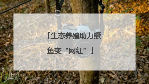 生态养殖助力鳜鱼变“网红”