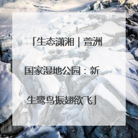 生态潇湘｜萱洲国家湿地公园：新生鹭鸟振翅欲飞