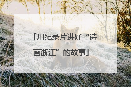 用纪录片讲好“诗画浙江”的故事