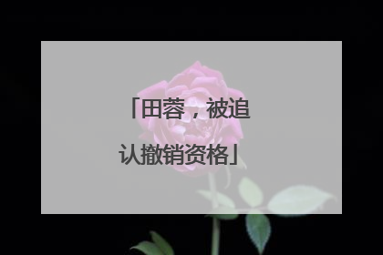 田蓉，被追认撤销资格