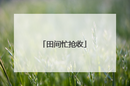 田间忙抢收