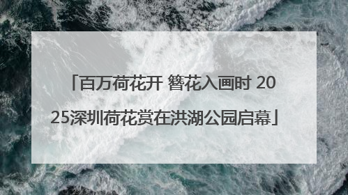 百万荷花开 簪花入画时 2025深圳荷花赏在洪湖公园启幕