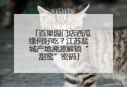 百果园门店西瓜缘何好吃？江苏盐城产地溯源解锁“甜蜜”密码