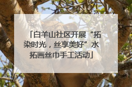 白羊山社区开展“拓染时光，丝享美好”水拓画丝巾手工活动