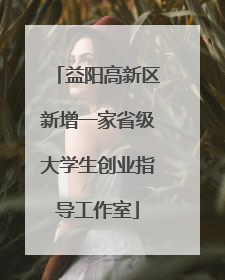 益阳高新区新增一家省级大学生创业指导工作室