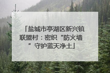 盐城市亭湖区新兴镇联盟村：密织“防火墙”守护蓝天净土