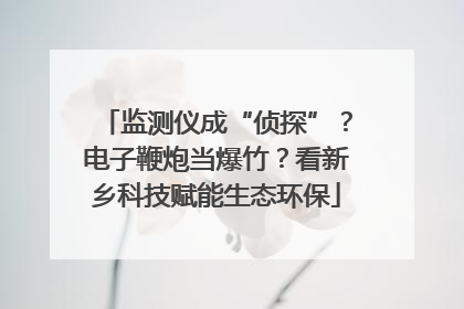 监测仪成“侦探”？电子鞭炮当爆竹？看新乡科技赋能生态环保