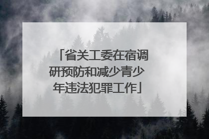 省关工委在宿调研预防和减少青少年违法犯罪工作