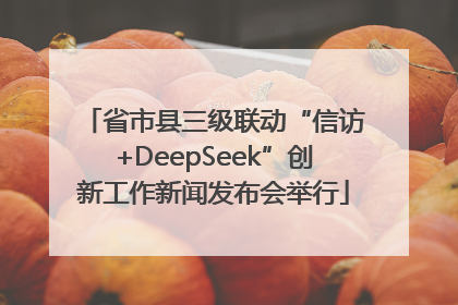 省市县三级联动“信访+DeepSeek”创新工作新闻发布会举行