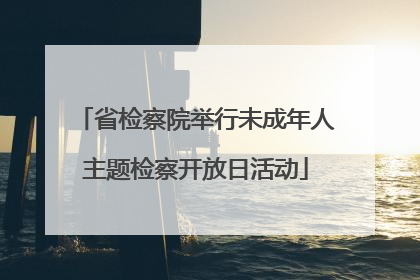 省检察院举行未成年人主题检察开放日活动