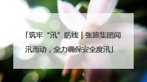 筑牢“汛”防线｜张旅集团闻汛而动，全力确保安全度汛