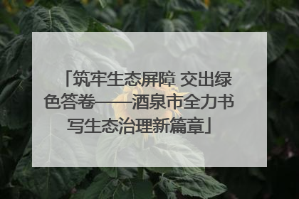 筑牢生态屏障 交出绿色答卷——酒泉市全力书写生态治理新篇章