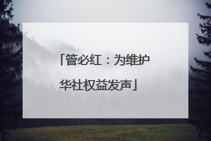 管必红：为维护华社权益发声