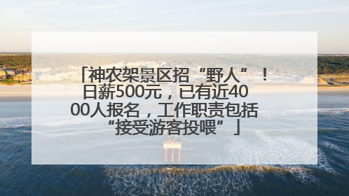 神农架景区招“野人”！日薪500元，已有近4000人报名，工作职责包括“接受游客投喂”