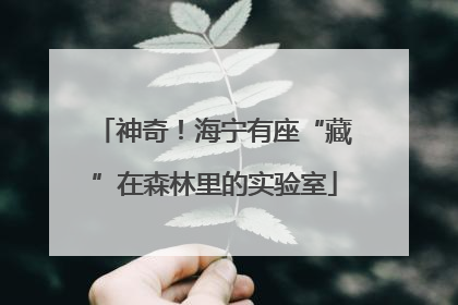 神奇！海宁有座“藏”在森林里的实验室