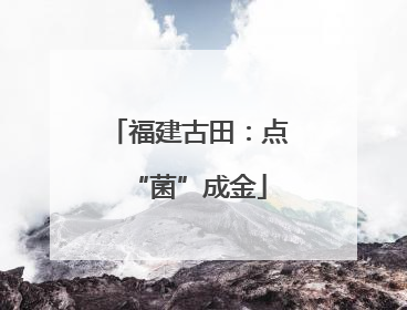 福建古田：点“菌”成金