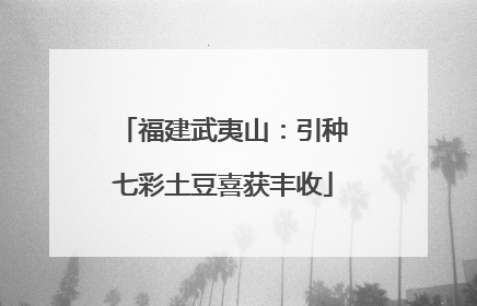 福建武夷山：引种七彩土豆喜获丰收
