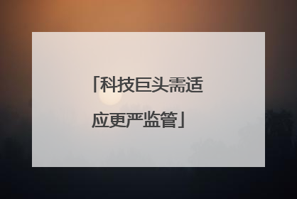 科技巨头需适应更严监管