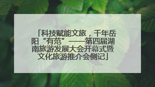 科技赋能文旅，千年岳阳“有范”——第四届湖南旅游发展大会开幕式暨文化旅游推介会侧记