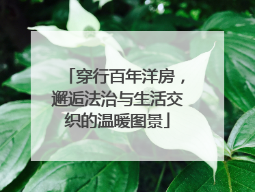穿行百年洋房，邂逅法治与生活交织的温暖图景