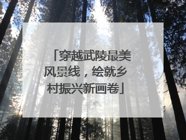 穿越武陵最美风景线，绘就乡村振兴新画卷
