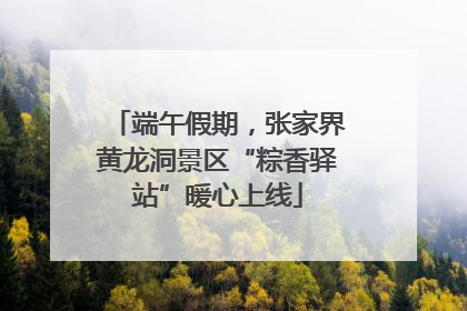 端午假期，张家界黄龙洞景区“粽香驿站”暖心上线