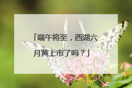 端午将至，西湖六月黄上市了吗？