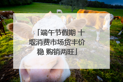 端午节假期 十堰消费市场货丰价稳 购销两旺