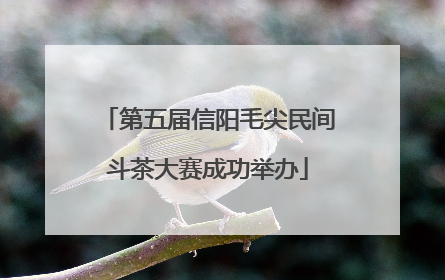 第五届信阳毛尖民间斗茶大赛成功举办
