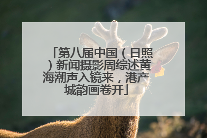 第八届中国（日照）新闻摄影周综述黄海潮声入镜来，港产城韵画卷开