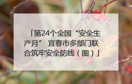 第24个全国“安全生产月” 宜春市多部门联合筑牢安全防线（图）