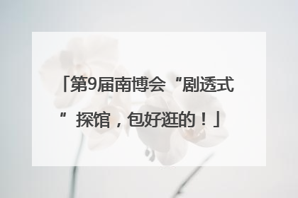 第9届南博会“剧透式”探馆，包好逛的！
