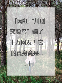 网红“川剧变脸鸟”骗了千万网友！它的真身竟是……