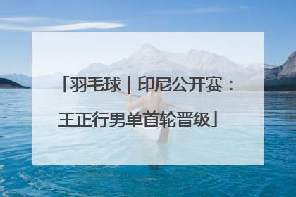 羽毛球｜印尼公开赛：王正行男单首轮晋级